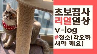 [v-log]초보집사 일상! 고양이 키우기 진짜 현실입니다(#인간극장 감성 #청소=집사는 도비)