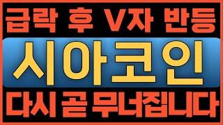 시아코인[긴급속보] 급락 후 V자 반등 다시 곧 무너집니다#시아코인 #시아코인전망 #시아전망 #시아