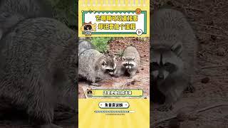 看到這一幕的大哥人直接傻眼了 #小浣熊 #離譜  #搞笑 #心機