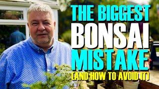 The BIGGEST Bonsai Mistake (And How To Avoid It)