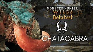 [MHWilds OBT] Chatacabra 01'49"91 Dual Blades Solo