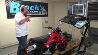 Honda Grom Stock to Brock ~ Part 1: Brock Crashes New Grom!
