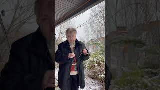 Черенок смородины (Как получить саженцы) #shorts