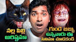 TOP 10 Horror Movies In The World, Black Cat Myth In India | Telugu | VR Raja Facts