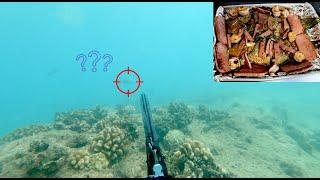 Spearfishing Uhu On Oahu! Catch and Cook | Hawaii Spearfishing