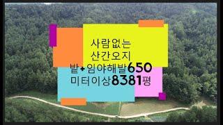 인적없는 산간지역 밭+임야 /개울물 흐르는땅(정선임계부동산)