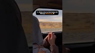 This line️ #shortsfeed#shortsvideo#shorts#ytshorts#islamic #ramadan #islamicstatus #allah