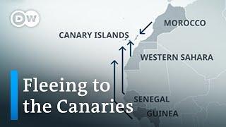 Record high of migrants dying on the way to Canaries | DW News