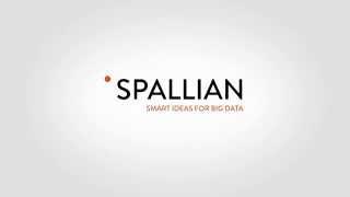 Spallian - Smart Ideas for Big Data