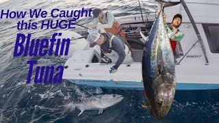 Coupe finale du YT d'Ethans Bluefin