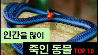 (랭킹박스) 사람을 가장 많이 죽이는 동물 TOP10