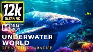 UNDERWATER WORLD - RELAXATION PARADISE in TV 12K HDR DOLBY VISION™ (SUPER COLORS)with Calming Music