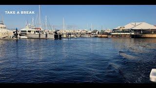 No Dhufish just squid Off Busselton Squid vid 8