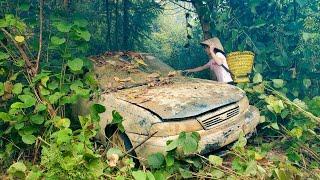 I FOUND a Secret Car Abandoned in the Foggy Forest for DECADES!