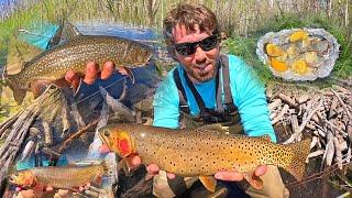 The Hunt For GIANT Cutthroat Trout… Campfire CATCH & COOK!!