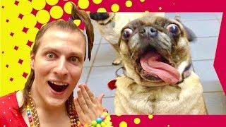 SI TU RIGOLES TU RECOMMENCES LA VIDÉO ! ESSAYE DE NE PAS RIRE ANIMAUX - NADEGE CANDLE