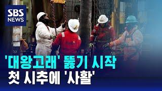 '대왕고래' 뚫기 시작…첫 시추에 '사활' / SBS