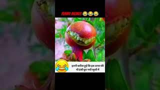 #funnymemes #ytb #comedy #funnyreel #meme #comedyshorts 