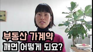 부동산 가계약 깼을때 일어나는 일 가계약금 배액상환? 가계약금 돌려받을 수 있을까? 가계약 할 땐 이렇게 하세요.