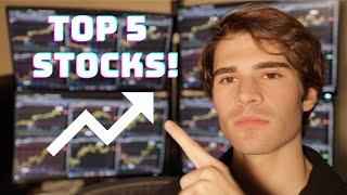 Top Stocks NOW | November 2024