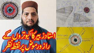 pigeon's structure|| ustad zubair describe pigeon's structure properly|| 03004515078