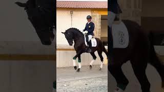 hoof sound #equestrain #horse #рек #subscribe #лошади #конныйспорт #рекомендации #fypシ