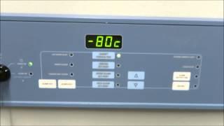 Thermo Revco Ultima Plus  80 Freezer - The Lab World Group