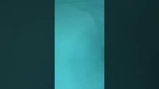 Монтаж видео