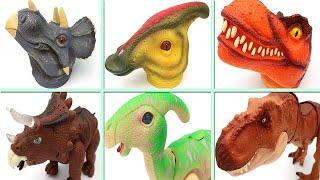 4 Dinosaur Head Box - Triceratops, Tyrannosaurus Rex, Parasaurolophus 공룡 머리 박스