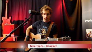 Meermens -  Goudlijm