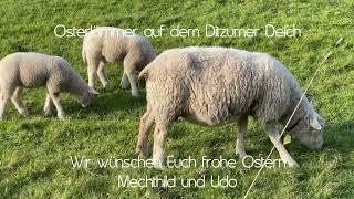 𝟒𝐊 - Ostergrüße - Mechthild und Udo