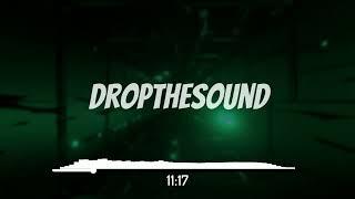 DropTheSound Sets #10 | Summer Vibes | Dave`D!