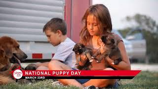 National Puppy Day on March 23