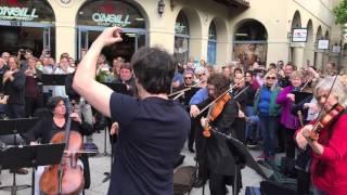 Santa Cruz Symphony Flash Mob