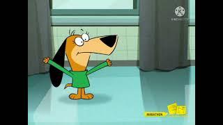 Jellystone! on Cartoon Network, March 2009 (totally real and rare)
