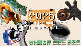 [Ointube] 2025 Trends Reportㅣ양서파충류 트렌드 리포트