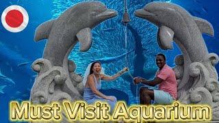 Aqua World Ibaraki Oarai Aquarium 2024!! Must Visit!! #aquarium #viralvideo #travel #Japan.