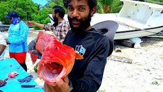 Amazing Golden Fish Cutting Skills | Indian Ocean Red Fish Cutting In Maldives