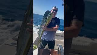 #Mahi #Fishing in #Cabo