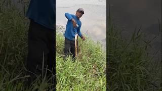 #Karnataka Mysore Kaveri fishing guide Amjad#️7483643530