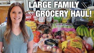 GROCERY HAUL WITH WEEKLY MEAL PLAN! | MAY BUDGET TOTAL