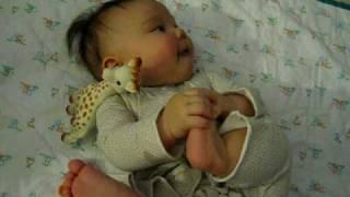 Giraffe vs Foot - Which one do I put in my mouth?!?!?