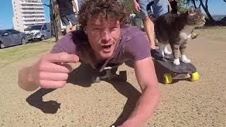 Skateboarding Cats  @DAXON