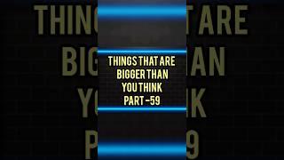 things that are bigger than you think #viral#shorts #justvideo