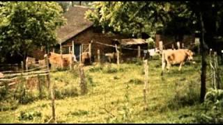 Humble Abode - Michael Cassidy