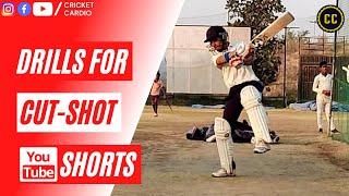 Drills for Cut-Shot in Cricket! #shorts #youtubeshorts