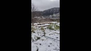 ГАЛКИН САД ЛАЙФ в прямом эфире!