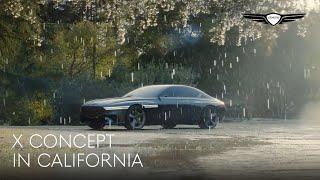 X Concept | In California (30") | Genesis