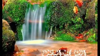 سورة مريم بصوت الشيخ محمد البخيت