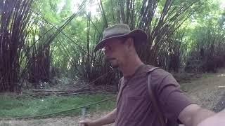 Why people Die hiking in groups